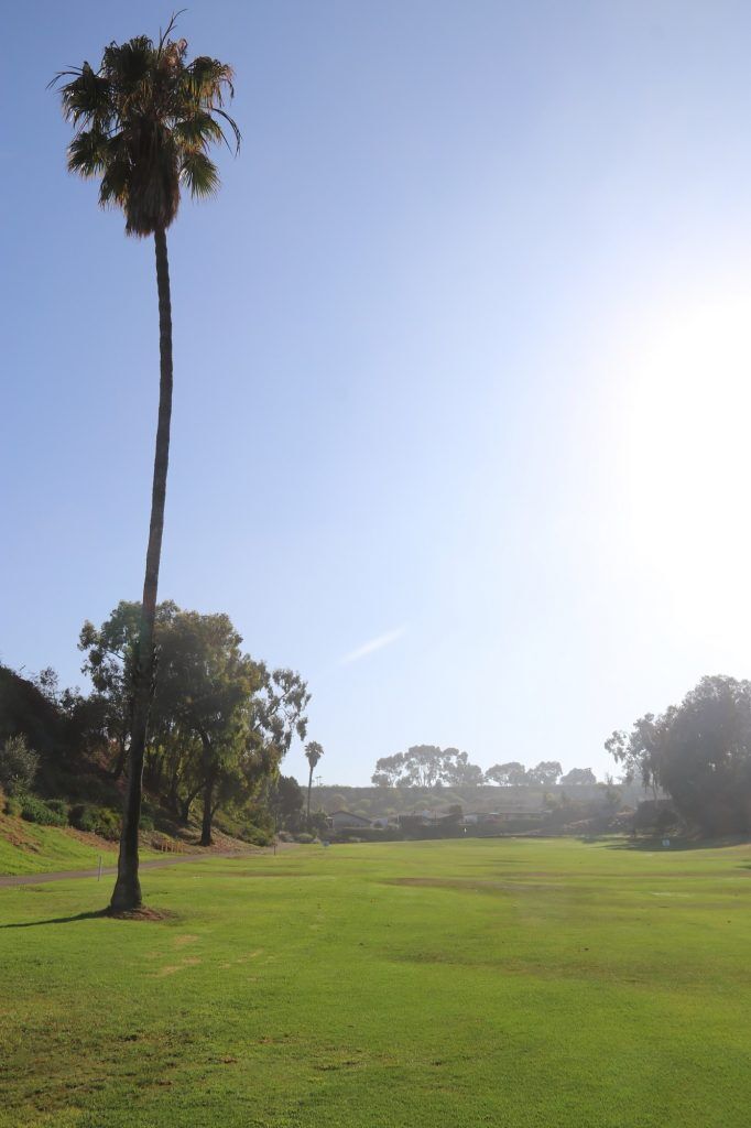 Summer of Golf: Welcome to the 19th Hole